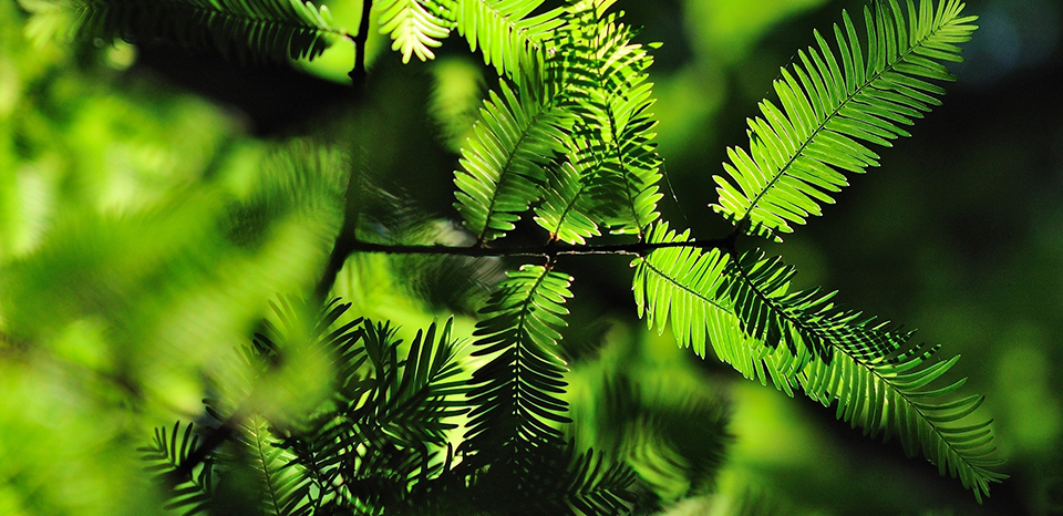 環(huán)境責(zé)任